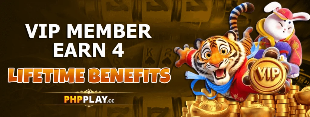 phpplay-bonus2
